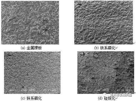 绿色污水处理设备：环保新时代的绿色力量