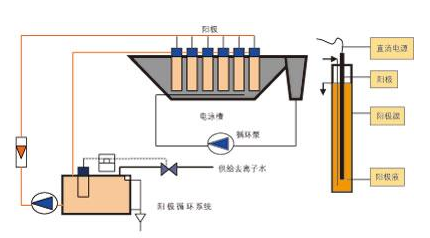 环境教育——为地球的未来种下希望的种子